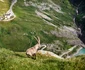 Șoseaua Alpină  Sursa Facebook Grossglockner Hochalpenstrasse (1) jpg