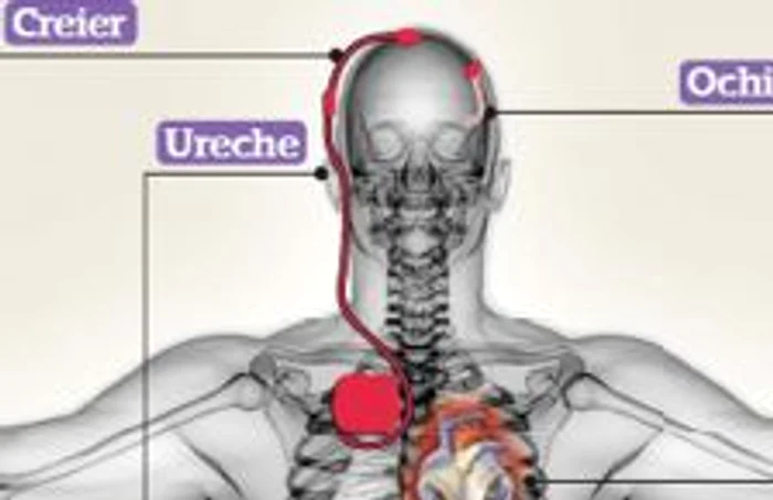 Stimularea creierului cu  cipuri poate cauza schimbări de personalitate 