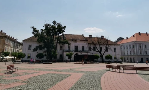 stejar 2 jpg jpeg