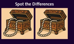 Spot the differences 1768572639681 webp