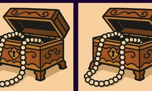 Spot the differences 1768572639681 webp