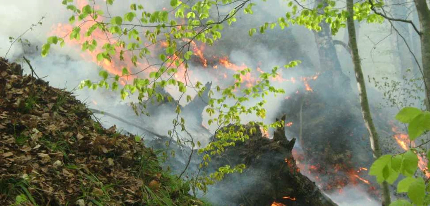 15 hectare de litiera din Munţii Buila sunt cuprinse de flacari