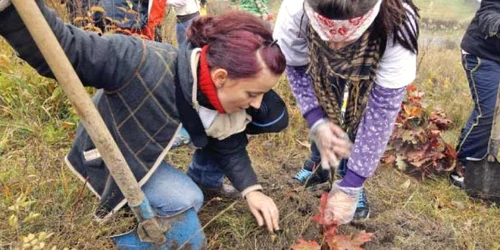 Beneficiarii programului Prima împădurire trebuie să deţină cel pujin 0,5 hectare de teren