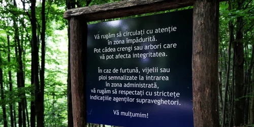 sarmizegetusa regia iulie 2021 foto daniel guta adevarul