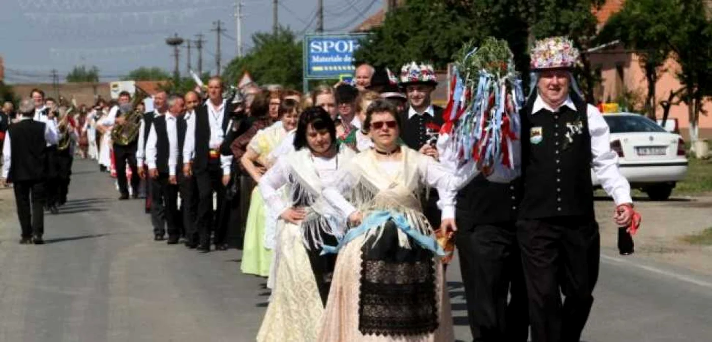 Șvabi. Foto: Ștefan Both