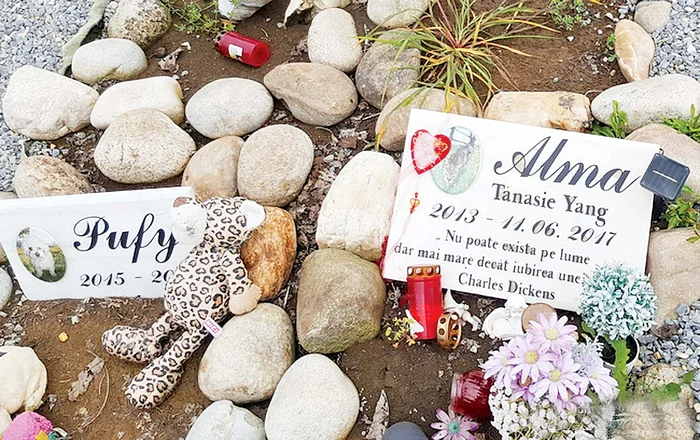 Candele şi flori proaspete pentru pisicuţa Alma