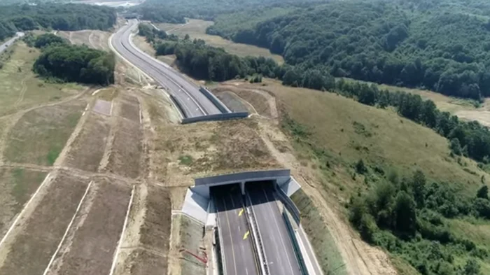 Pe lotul 3 din Autostrada Lugoj-Deva au fost construite două tuneluri pentru urși, singurele, de altfel, din România