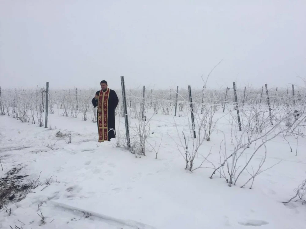 Sărbătoarea Trifonului se sărbătoreşte în fiecare an la Segarcea