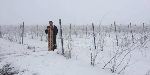 Sărbătoarea Trifonului se sărbătoreşte în fiecare an la Segarcea