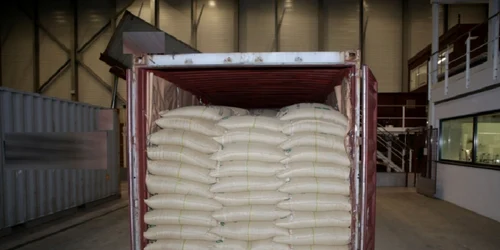Peste 500 de kilograme de cocaină au fost găsite într-un container cu saci de cafea boabe