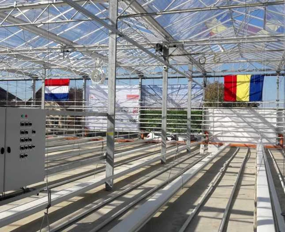 Cea mai modernă seră din România a fost construită de olandezi în judeţul Timiş FOTO Ş.Both