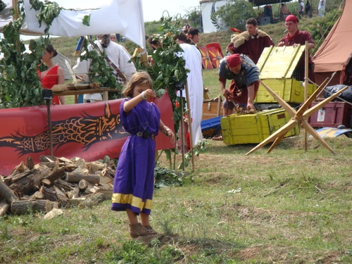 Mitte sau Iugula?   Festivalul Cetăţilor Dacice de la Cricău jpeg