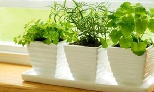 1 69385 original jpg jpeg