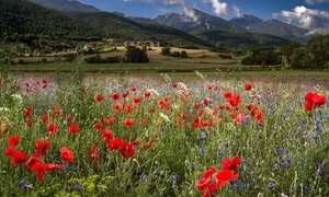 romania primavara jpg