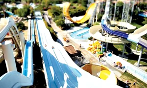 Norocosul Seb Smith jpeg