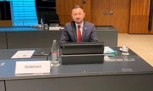 mircea fechet jpeg