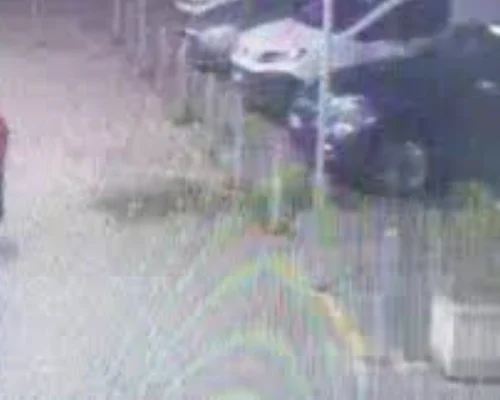 O nouă tentativă de răpire de copii într-un supermarket din Italia. Un bărbat a încercat să ia un băiețel de 5 ani: „Acesta nu este fiul tău, dă-mi-l mie!”. FOTO: X/@Pensierisparsi1