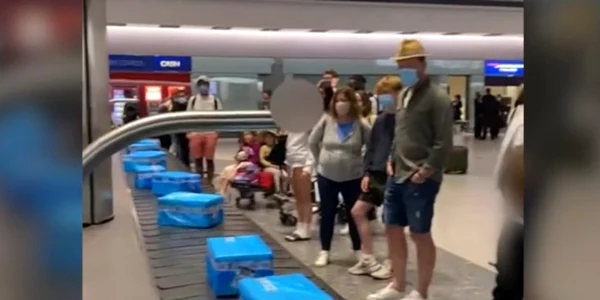 cutii cu peste congelat in aeroport Anglia