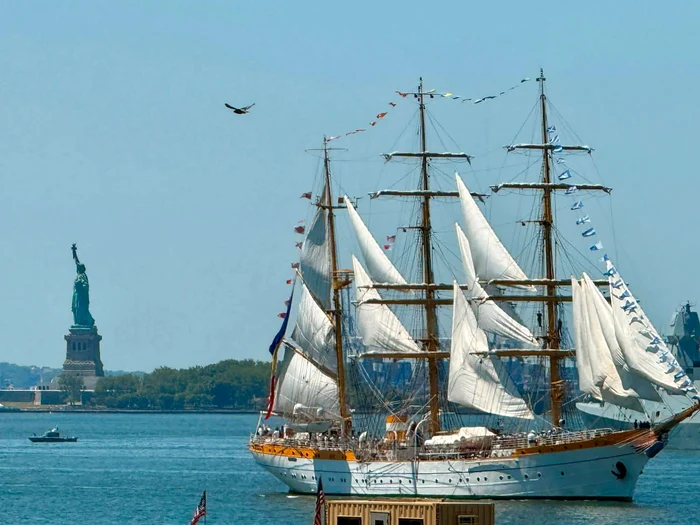 Bricul Mircea la New York