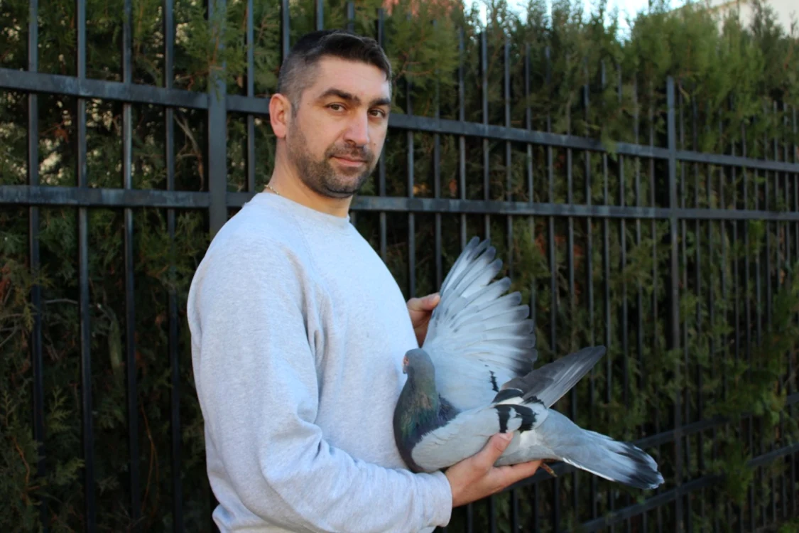 Mihai Cosmin deţine o rasă de porumbei gigant