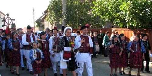 brasov nunta traditionala dragus