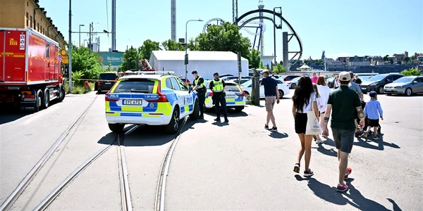 accident roller coaster suedia jpg