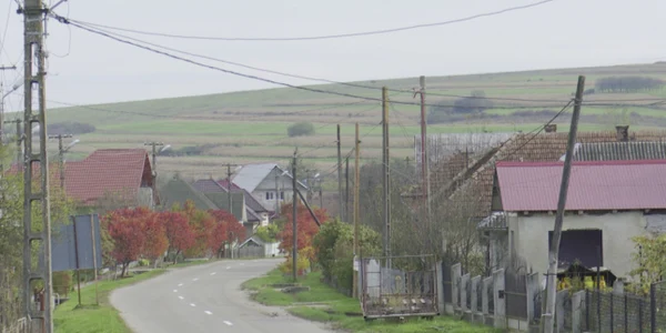 arinis.foto