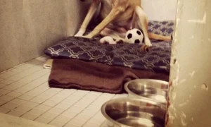 ptuyotjlnzcynge5mjqzytnin2u0ytyxzjixytc3yzkw thumb  jpeg