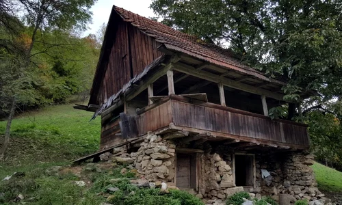 casa parasita jpg