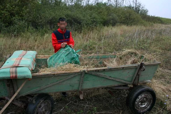 Ţigările de contrabandă au fost confiscate