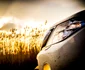 Nissan Pathfinder 12