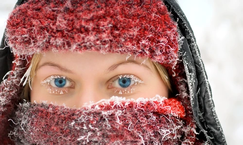 1 shutterstock 326389607 jpg jpeg