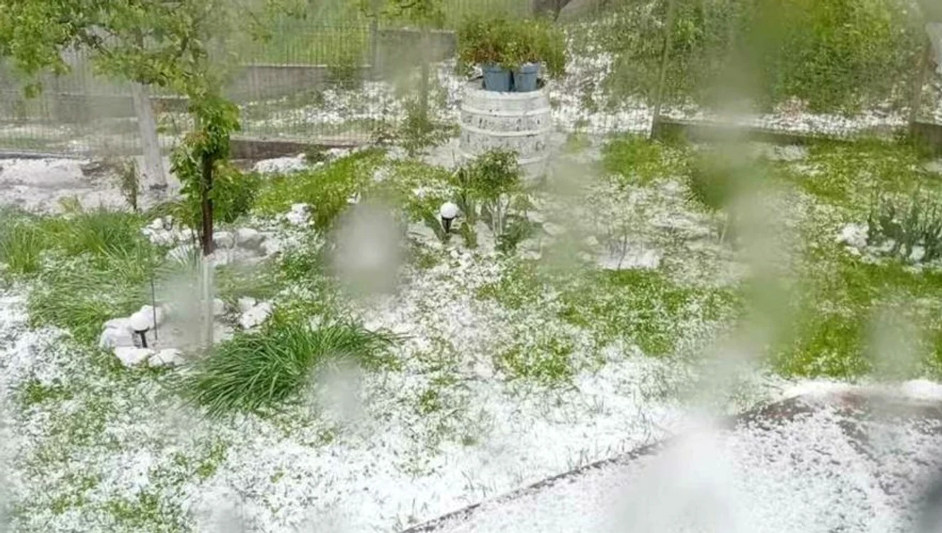 Grindina a făcut prăpăd în grădini FOTO  Meteoplus 