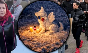 banner eutanasiere caini jpg