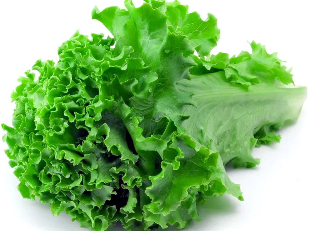 salata jpeg