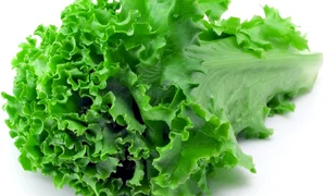 salata jpeg