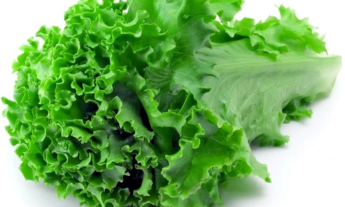 salata jpeg
