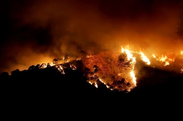 Incendiu de vegetaţie în Spania Foto: Twitter