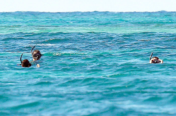 Cei doi fac scufundări împreună cu un instructor