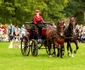 Karpathia Horse Show