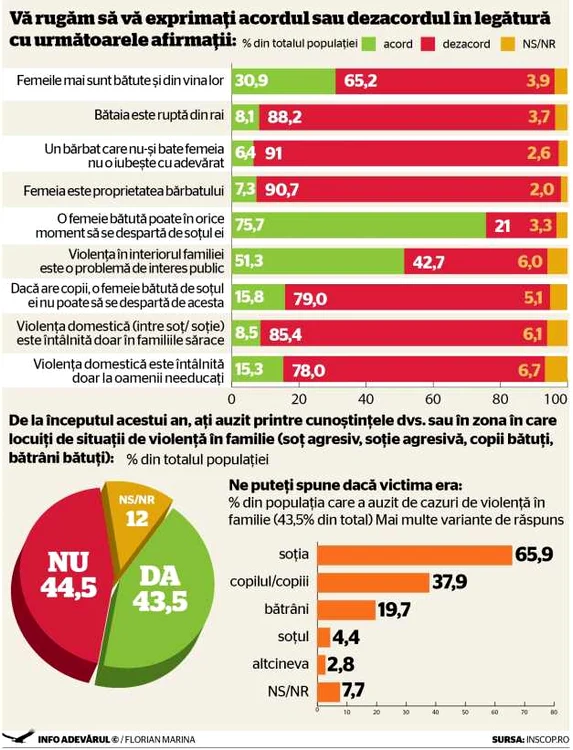infografie violenta domestica