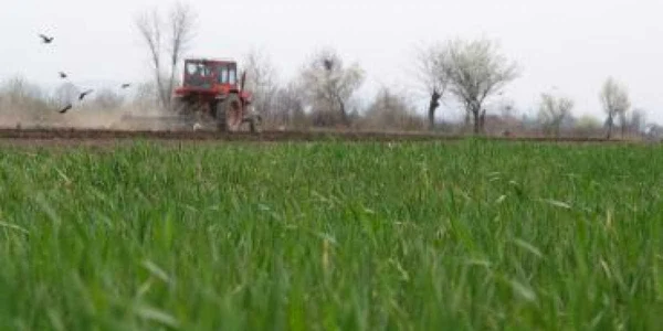 Ploieşti: Doar trei contracte de irigaţii în Prahova, în 2009