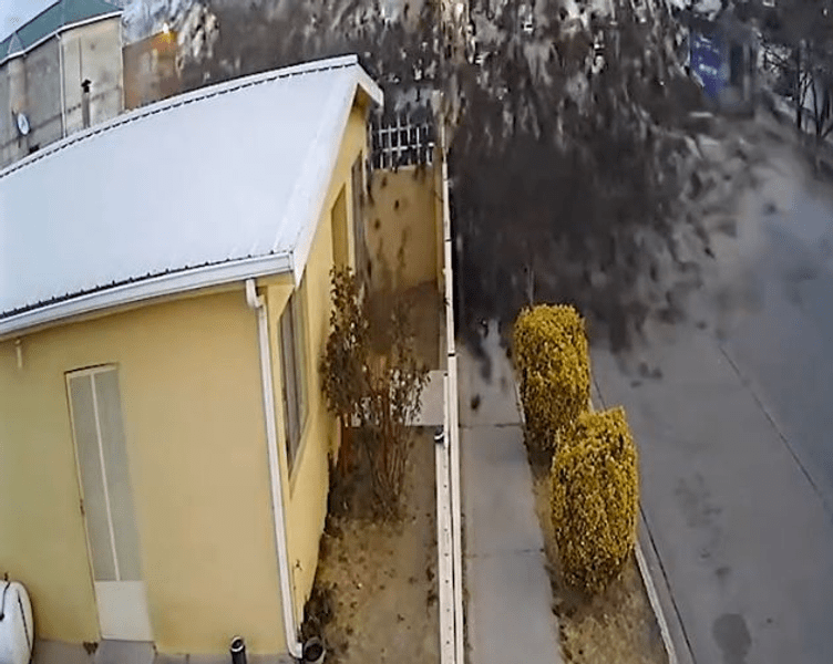 Ca în filmele de groază: Un stol de păsări s-a prăbușit peste o casă - Imaginile surprinse de camera de supraveghere VIDEO