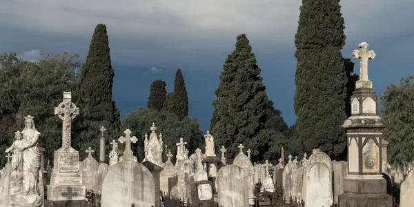 Cimitir FOTO Nils Versemann / Shutterstock