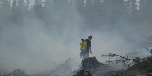 Pompierii spera sa poata lichida astazi incendiul de pe Masivul Buila