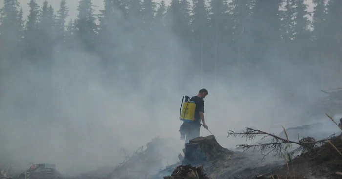 Pompierii spera sa poata lichida astazi incendiul de pe Masivul Buila