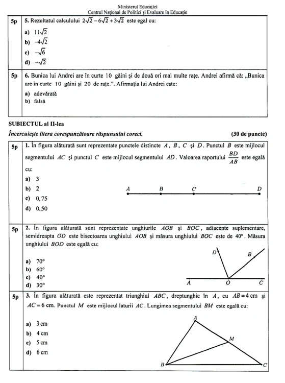 subiecte matematica