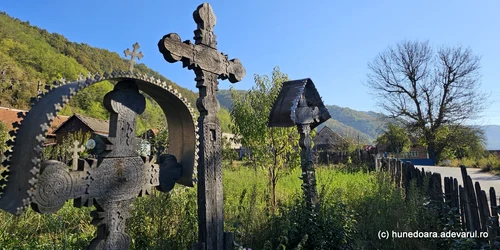 Lunca Cernii Foto Daniel Guță ADEVĂRUL (145) JPG