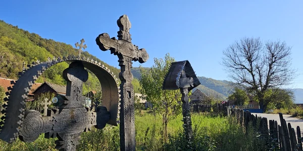 Lunca Cernii  Foto Daniel Guță ADEVĂRUL (145) JPG