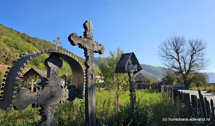 Rugi din Ținutul Pădurenilor. Foto Daniel Guță. ADEVĂRUL